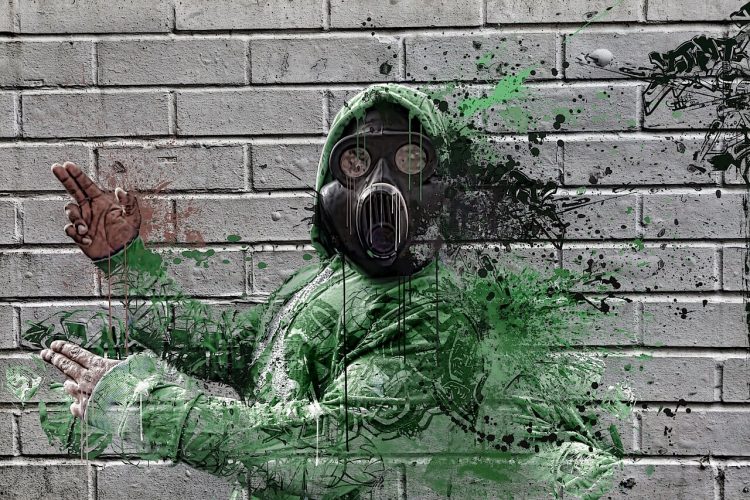toxic burden and pollutants