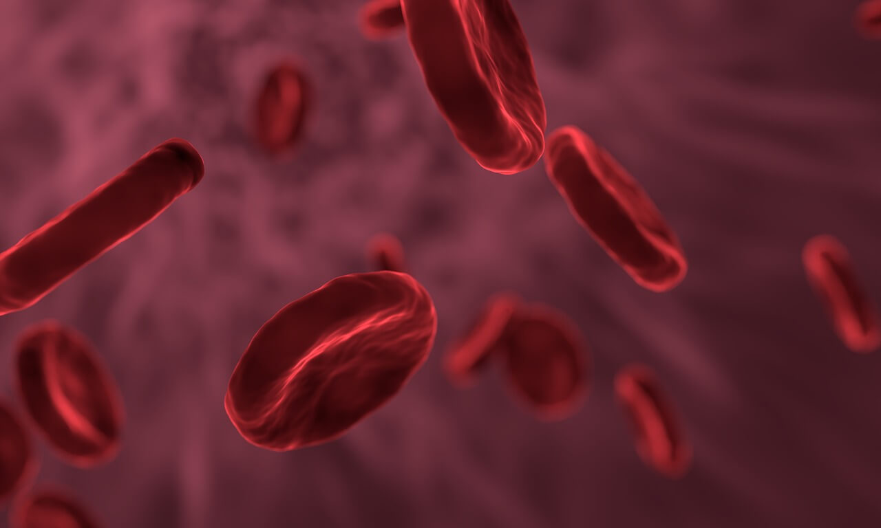 stem cell donation