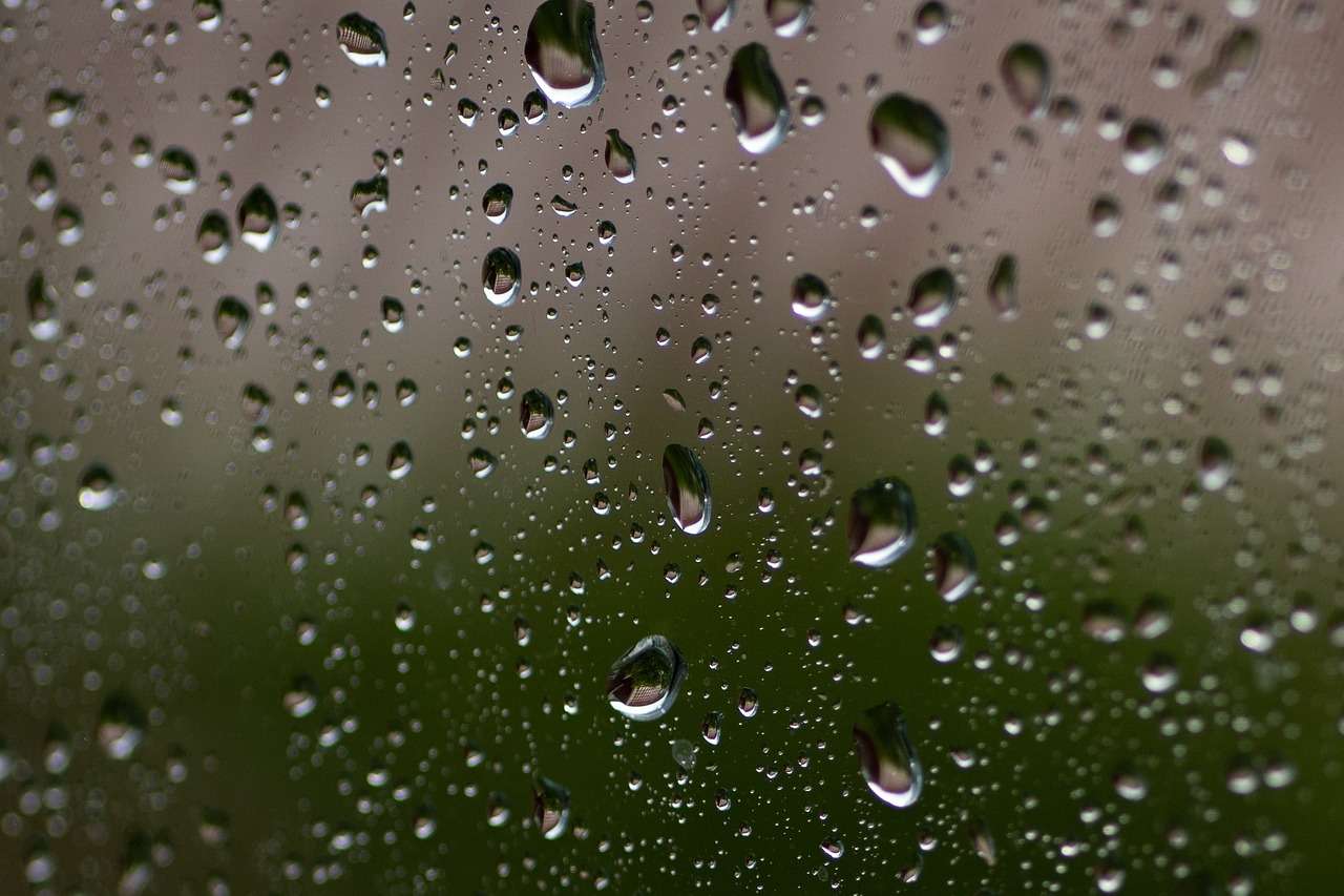 Dehumidifier